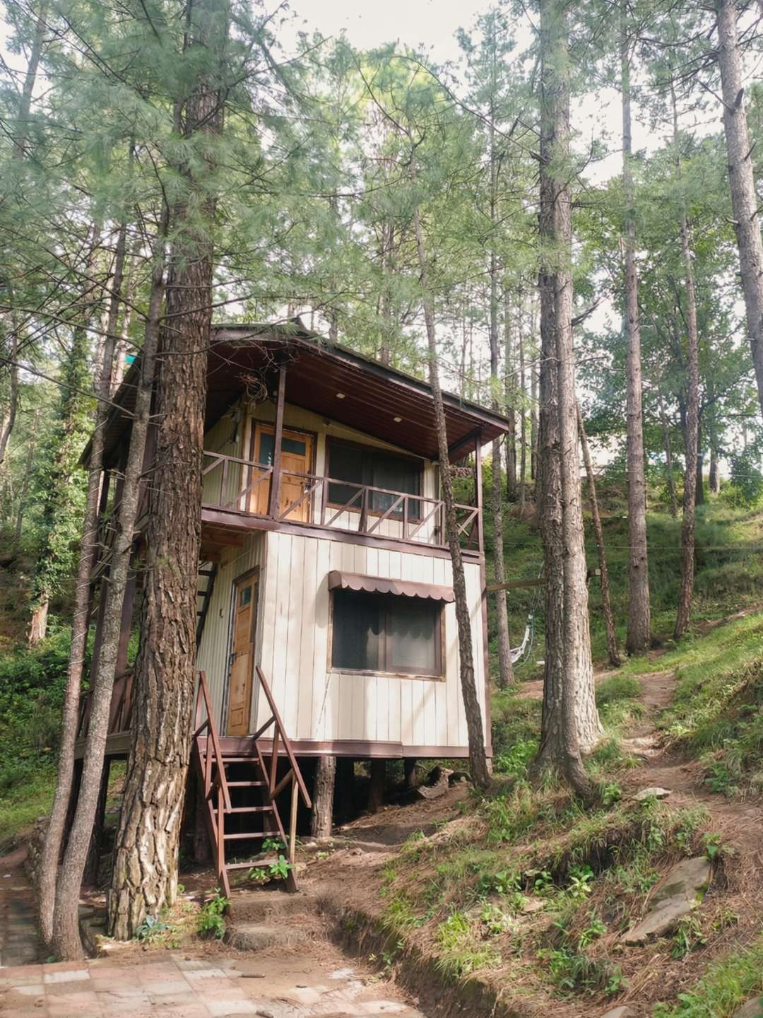 Forest cabin exterior at OmarOne mountain retreat