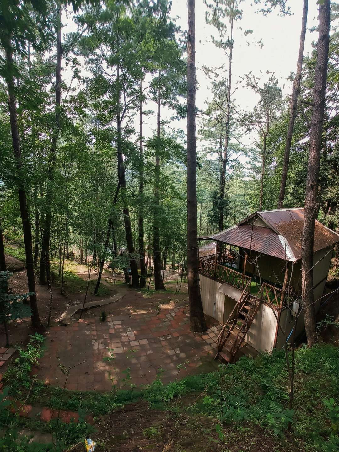 Forest setting around OmarOne mountain homes from above